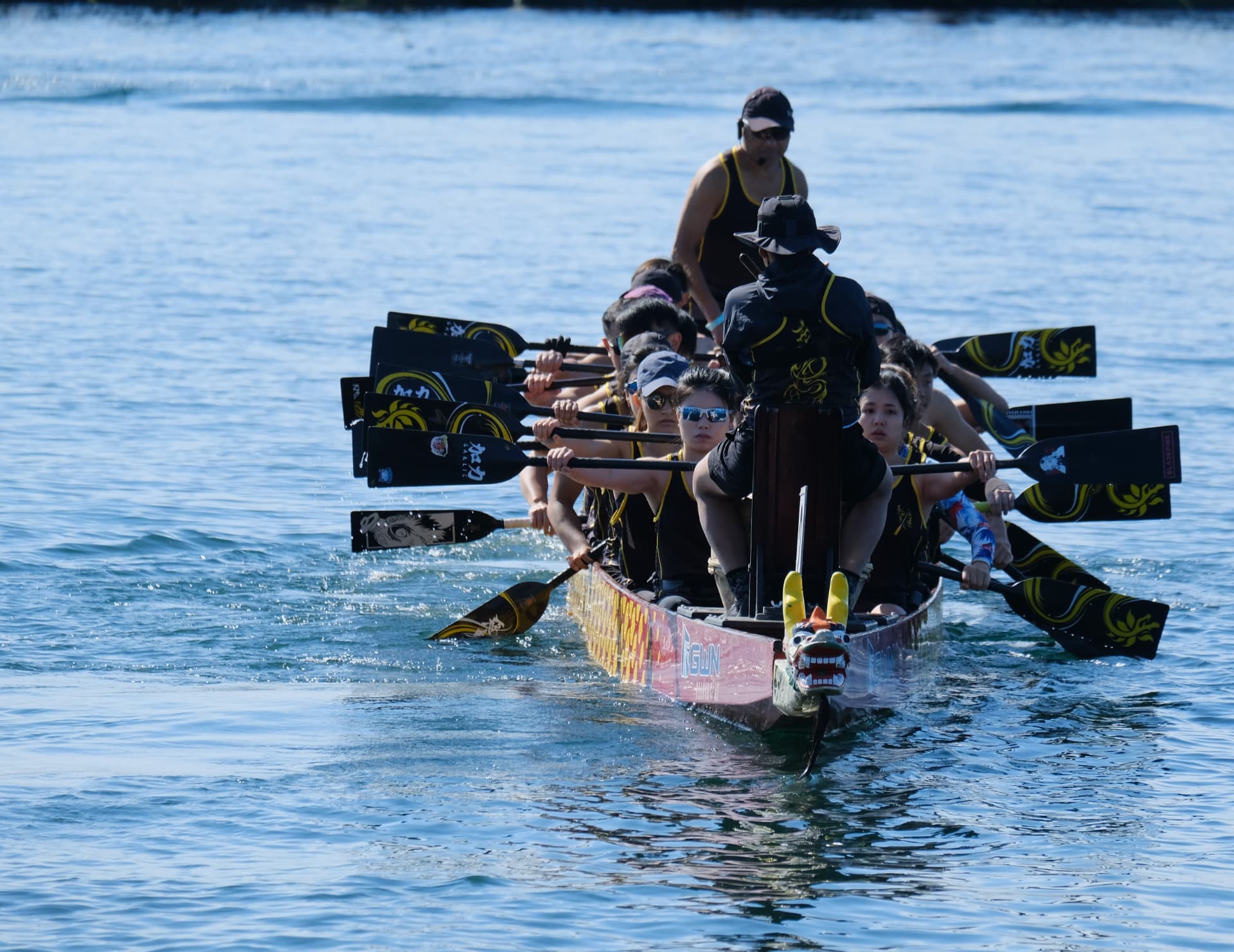 TOHK Garlic paddlers